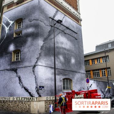 Hommage à Adama Traoré : l'artiste JR dévoile un collage géant à Paris, les photos