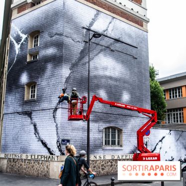 Hommage à Adama Traoré : l'artiste JR dévoile un collage géant à Paris, les photos