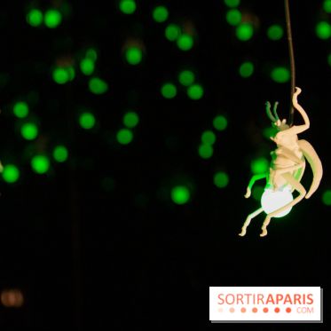 Araignées, Lucioles et Papillons au Musée en Herbe : nos photos