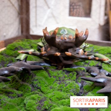 Araignées, Lucioles et Papillons au Musée en Herbe : nos photos