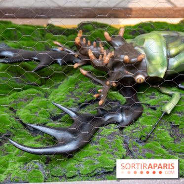 Araignées, Lucioles et Papillons au Musée en Herbe : nos photos