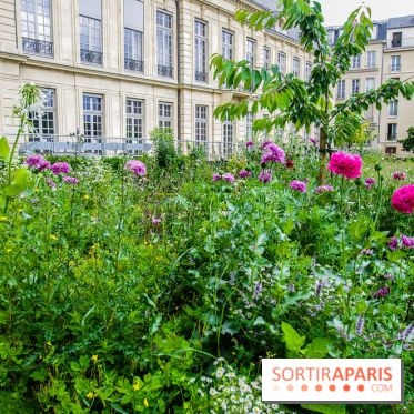 Le jardin des Arts-Albert Schweitzer à Paris, les photos