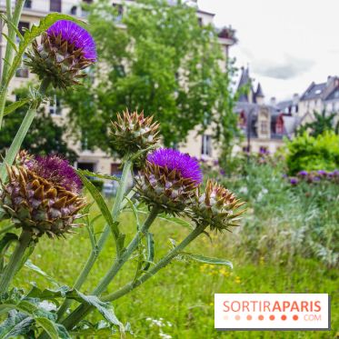 Le jardin des Arts-Albert Schweitzer à Paris, les photos