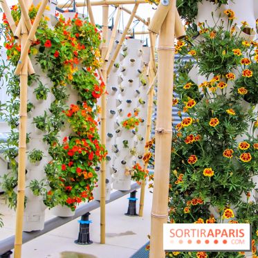 Le Perchoir ferme urbaine Porte de Versailles