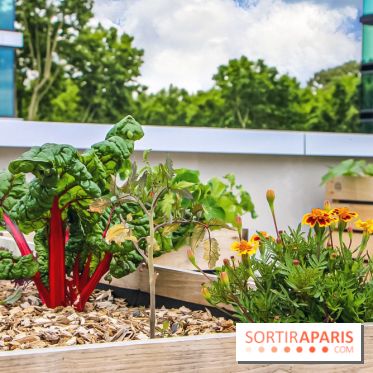 Le Perchoir ferme urbaine Porte de Versailles