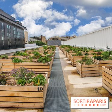 Le Perchoir ferme urbaine Porte de Versailles