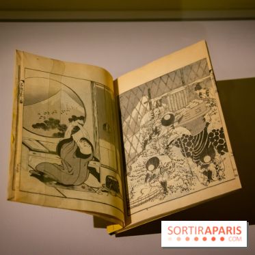 Fuji, pays de neige, l'exposition au musée Guimet - nos photos