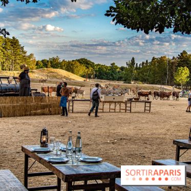Photos du Dîner Safari du Zoo de Thoiry, table