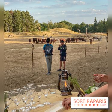 Photos du Dîner Safari du Zoo de Thoiry