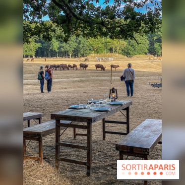 Photos du Dîner Safari du Zoo de Thoiry