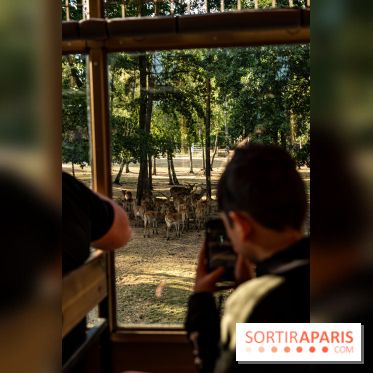 Photos du Dîner Safari du Zoo de Thoiry