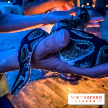 Photos du Dîner Safari du Zoo de Thoiry