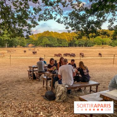 Photos du Dîner Safari du Zoo de Thoiry