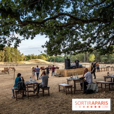 Photos du Dîner Safari du Zoo de Thoiry