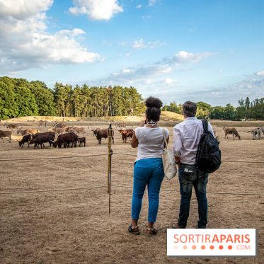 Photos du Dîner Safari du Zoo de Thoiry