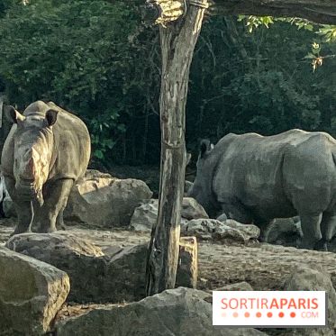 Photos du Dîner Safari du Zoo de Thoiry