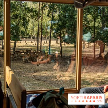 Photos du Dîner Safari du Zoo de Thoiry, camion