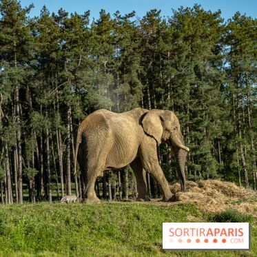 Photos du Dîner Safari du Zoo de Thoiry