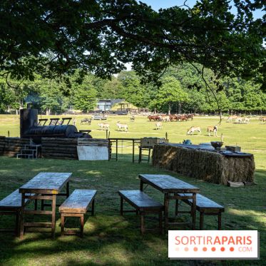 Photos du Dîner Safari du Zoo de Thoiry