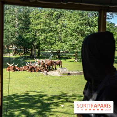 Photos du Dîner Safari du Zoo de Thoiry