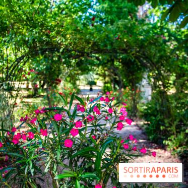 Le Waldorf Astoria Trianon Palace, un écrin royal au cœur du parc de Versailles