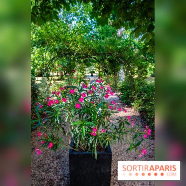 Le Waldorf Astoria Trianon Palace, un écrin royal au cœur du parc de Versailles