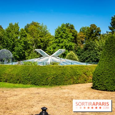 Le Waldorf Astoria Trianon Palace, un écrin royal au cœur du parc de Versailles