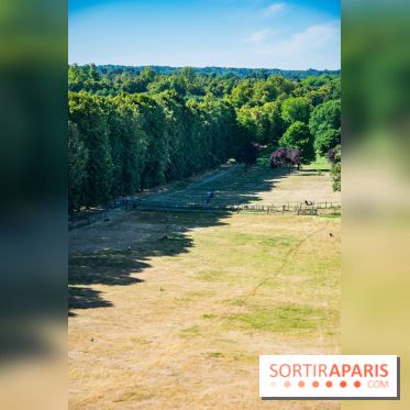 Le Waldorf Astoria Trianon Palace, un écrin royal au cœur du parc de Versailles
