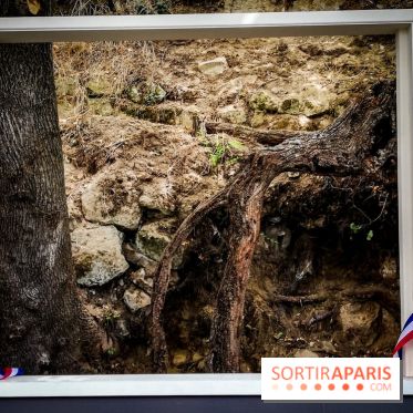 Sur les pas de Vincent Van Gogh, une balade à Auvers-sur-Oise