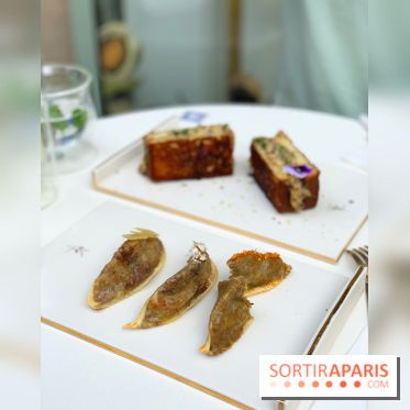 Maison Gazelle - été 2020