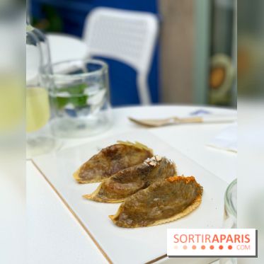 Maison Gazelle - été 2020