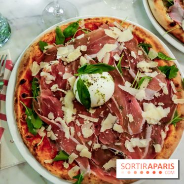 Pépita à Paris, les photos