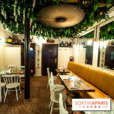 Pépita à Paris, les photos