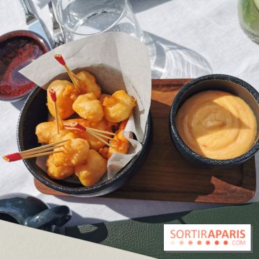 Photos Mun Rooftop Champs-Elysées