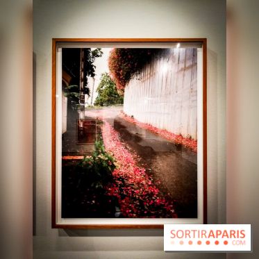 Soleil cou coupé, l'expo photo de Gregory Halpern à la Fondation Henri Cartier-Bresson