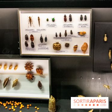 Akan, les valeurs de l'échange, l'expo à la Monnaie de Paris