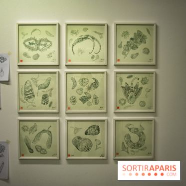 Exposition Lucy+Jorge Orta au Drawing Lab