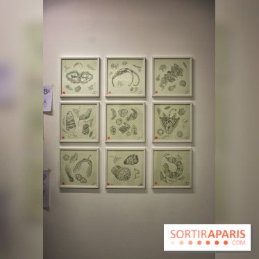 Exposition Lucy+Jorge Orta au Drawing Lab