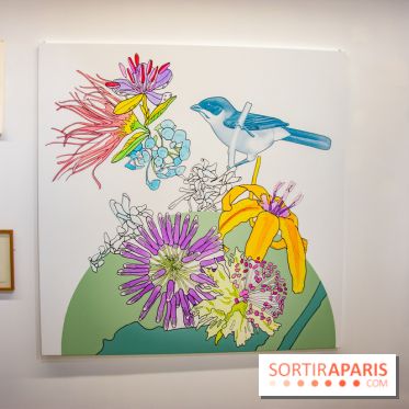 Exposition Lucy+Jorge Orta au Drawing Lab