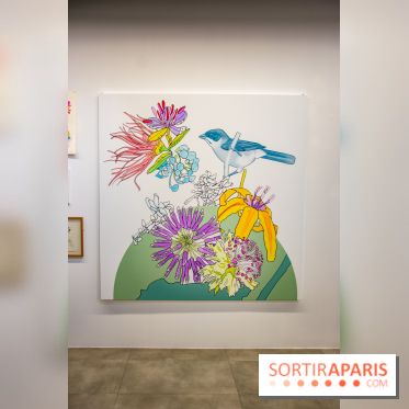 Exposition Lucy+Jorge Orta au Drawing Lab