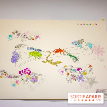 Exposition Lucy+Jorge Orta au Drawing Lab