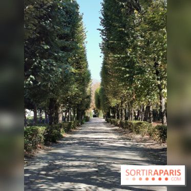 Photos : Rodin en son Jardin au Musée Rodin