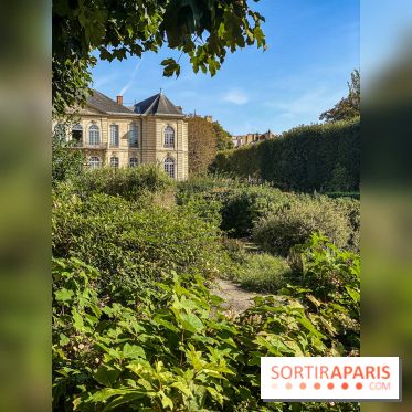 Photos : Rodin en son Jardin au Musée Rodin