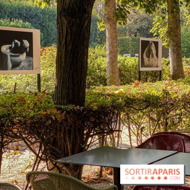 Photos : Rodin en son Jardin au Musée Rodin