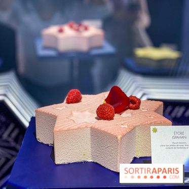 Photos Noël Pierre Hermé 2020, bûches et galettes