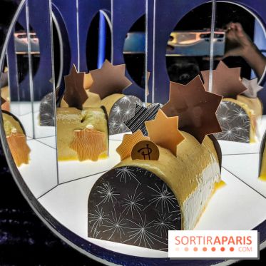 Photos Noël Pierre Hermé 2020, bûches et galettes