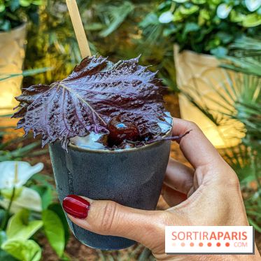 Photos bar 19.20 au Prince de Galles