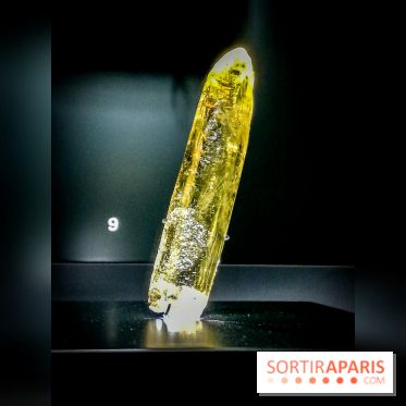 Exposition Pierres précieuses avec Van Cleef & Arpels au Muséum, nos photos