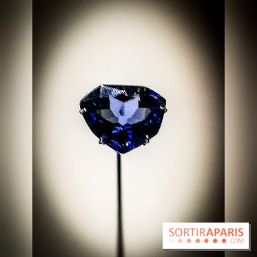 Exposition Pierres précieuses avec Van Cleef & Arpels au Muséum, nos photos