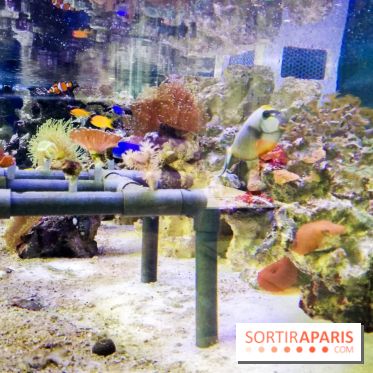 Bio-inspirée, la nouvelle expo permanente à la Cité des Sciences et de l'Industrie